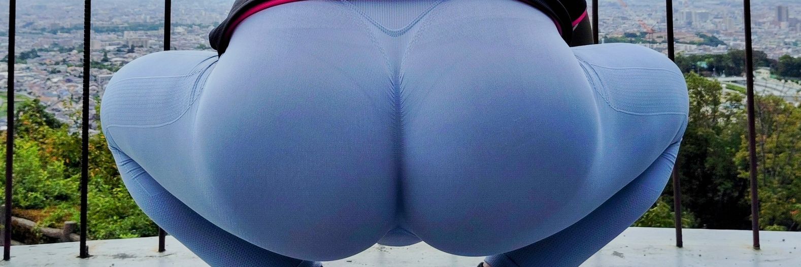 大好きパピコ banner