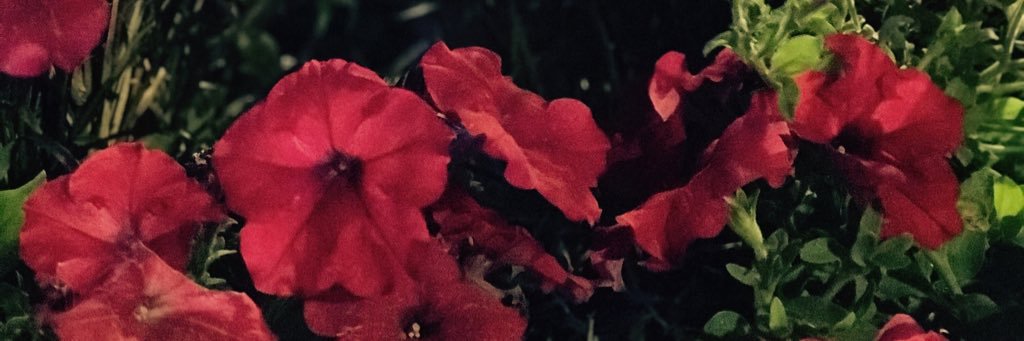 QNadaQ's profile banner image