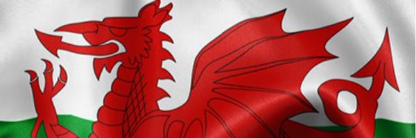 irisfurnham Profile Banner