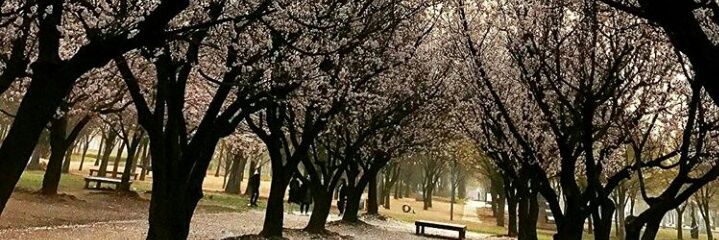 grace_deborah03's profile banner image
