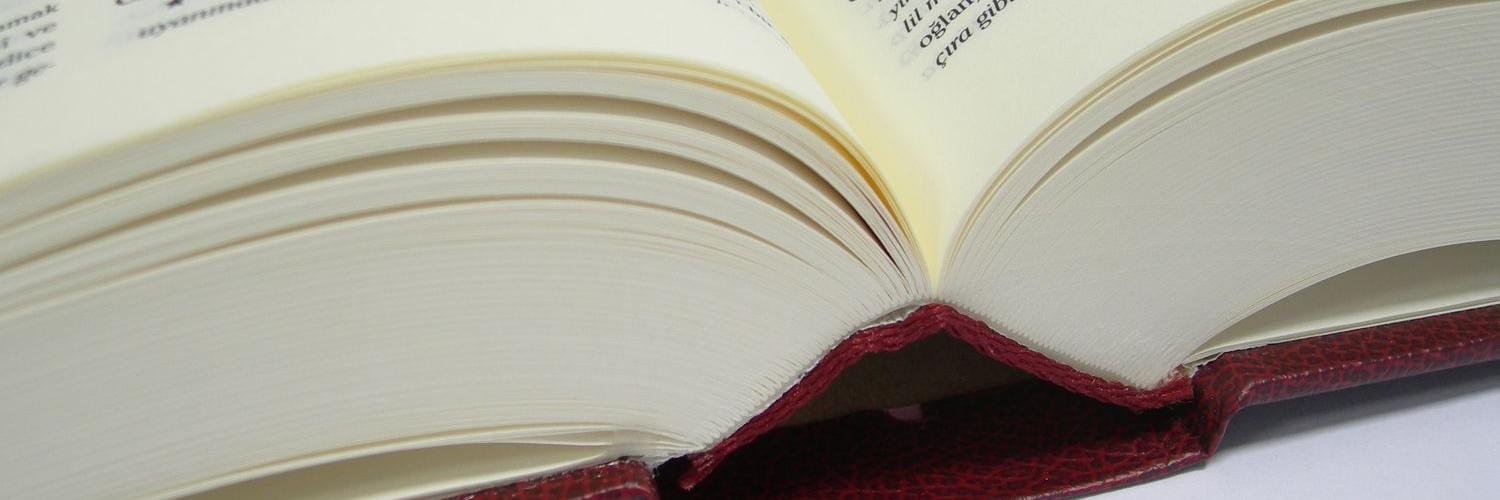 Delphine Rousseau banner