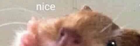 iamnotkylie's profile banner image