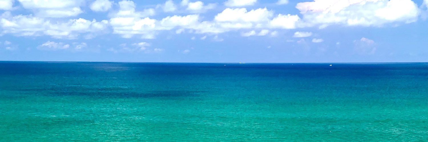 Michael Gallucci banner