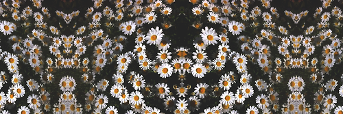 BarbaraRPGWD's profile banner image