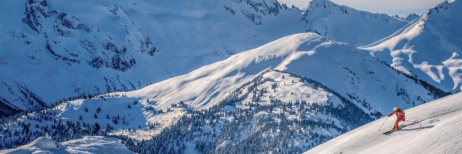 MTNTRVL's profile banner image