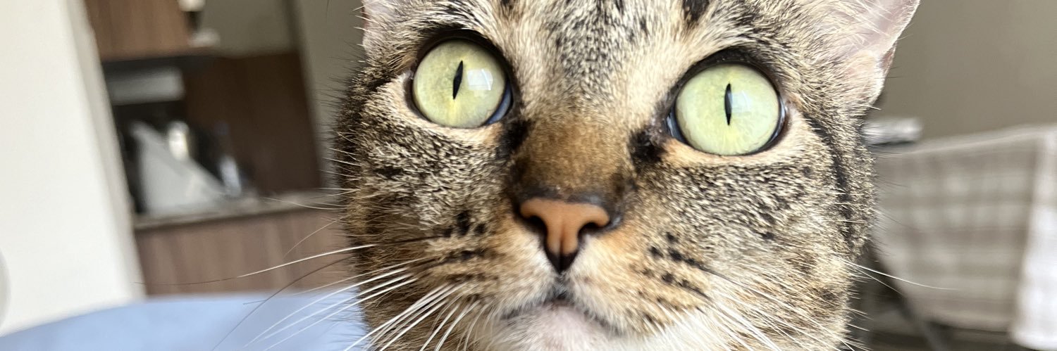 ChecoDelac's profile banner image
