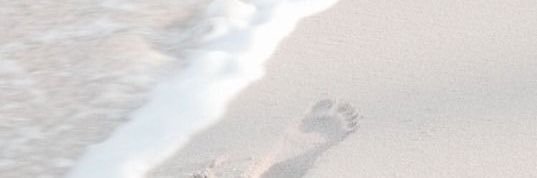 bethlscn's profile banner image
