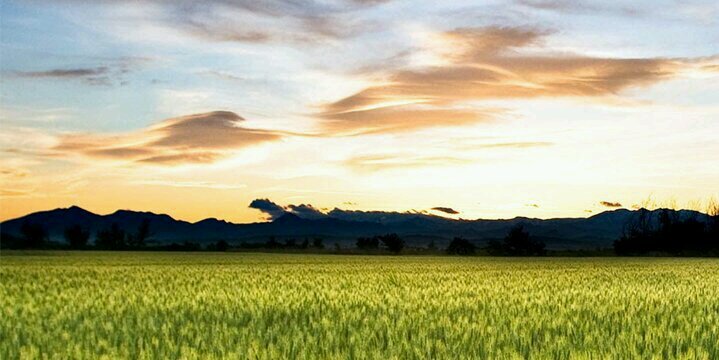 adrnmonica's profile banner image