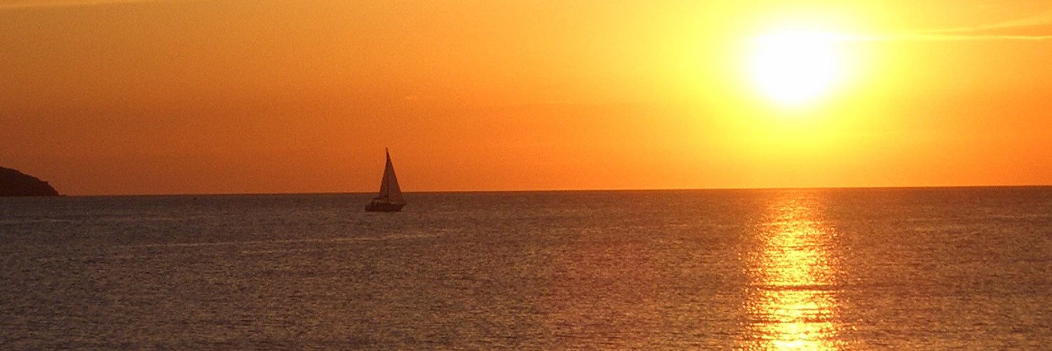 lledonitsuj's profile banner image