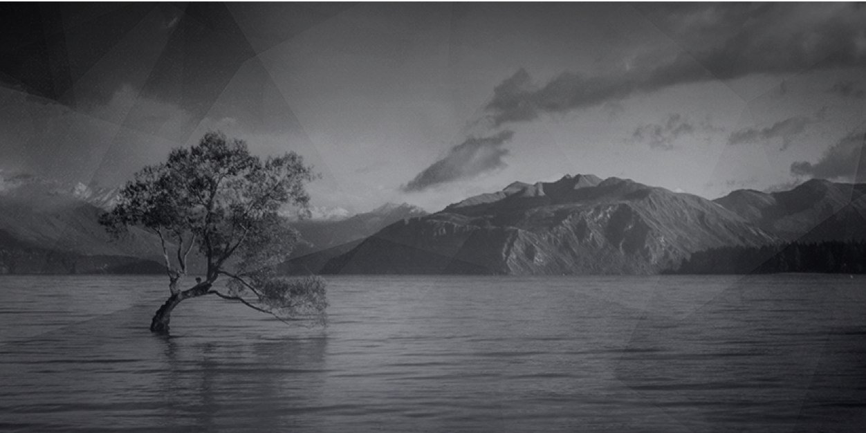 puddl_'s profile banner image