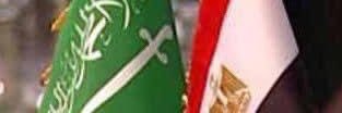أ.د / علي حنفى banner