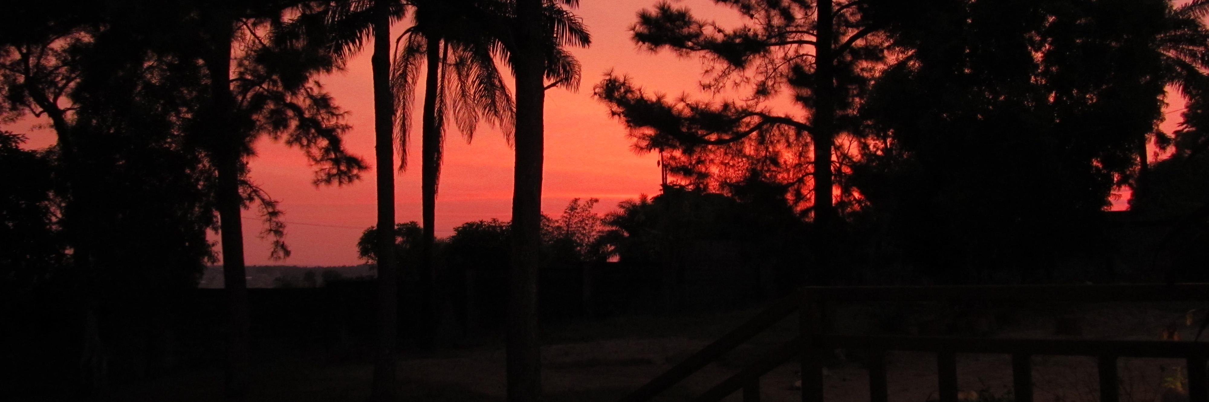 Rolf-Peter Andersson banner