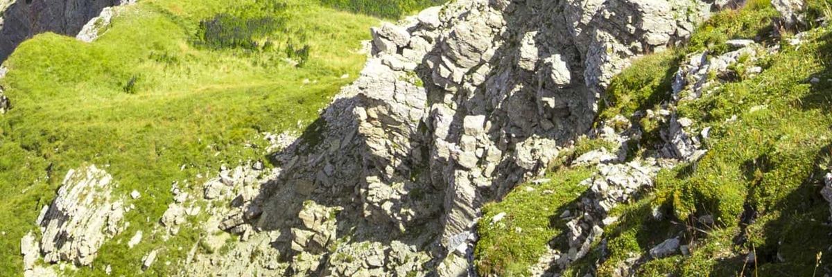 الجهني banner