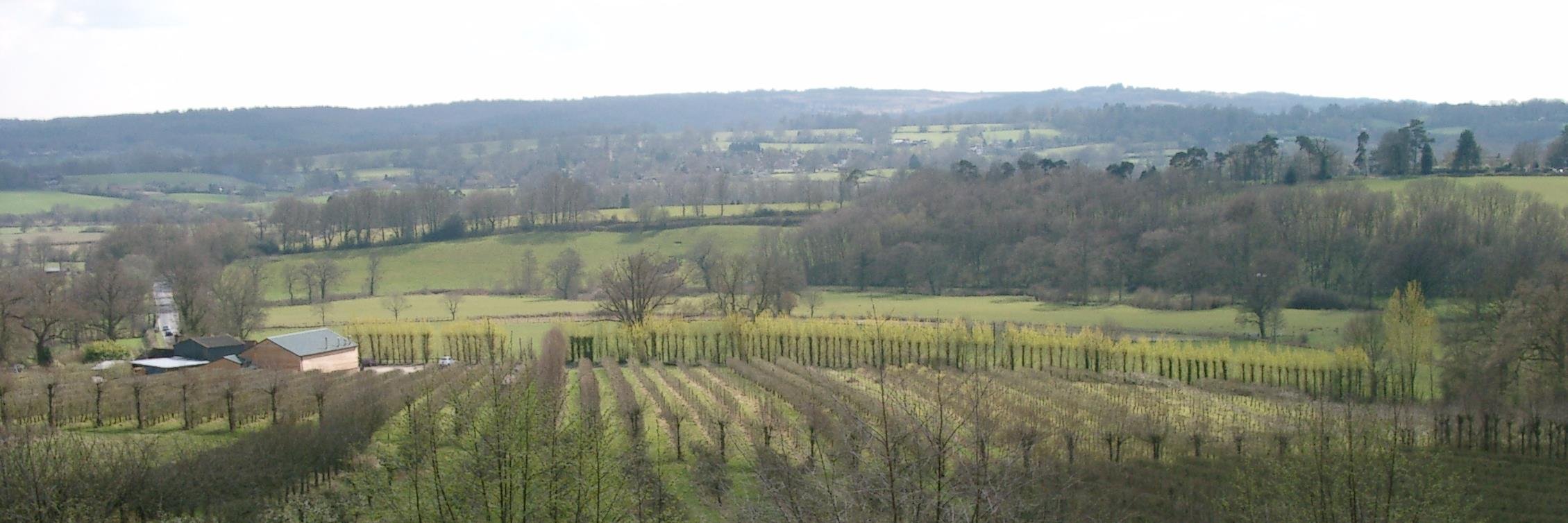 Perryhillfood's profile banner image