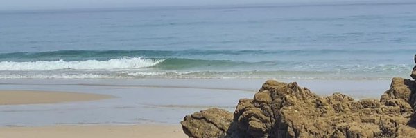 zpillado Profile Banner