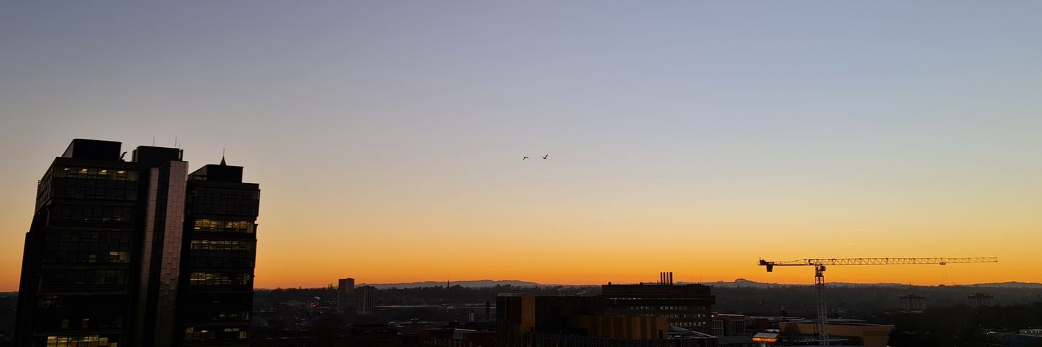 Joseph Wayman banner