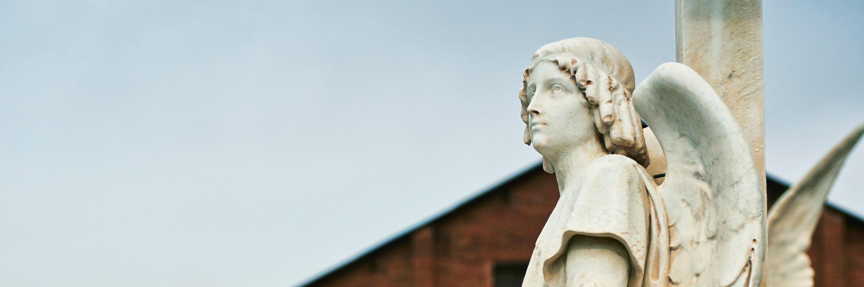 hnicmat's profile banner image