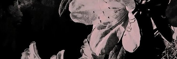 CHOERRYtheStar's profile banner image