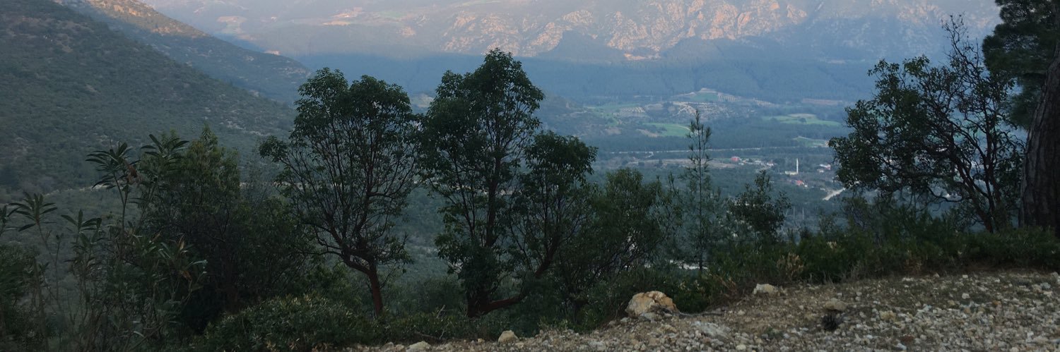 pintoloji's profile banner image