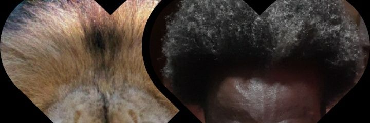 Afloww's profile banner image