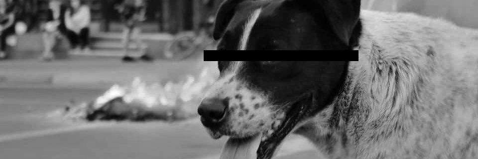 JackKinLim's profile banner image