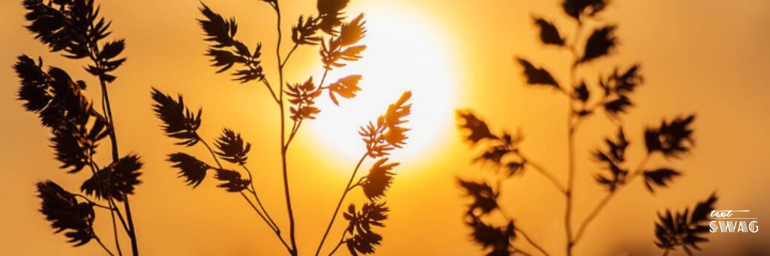 saat_rang's profile banner image