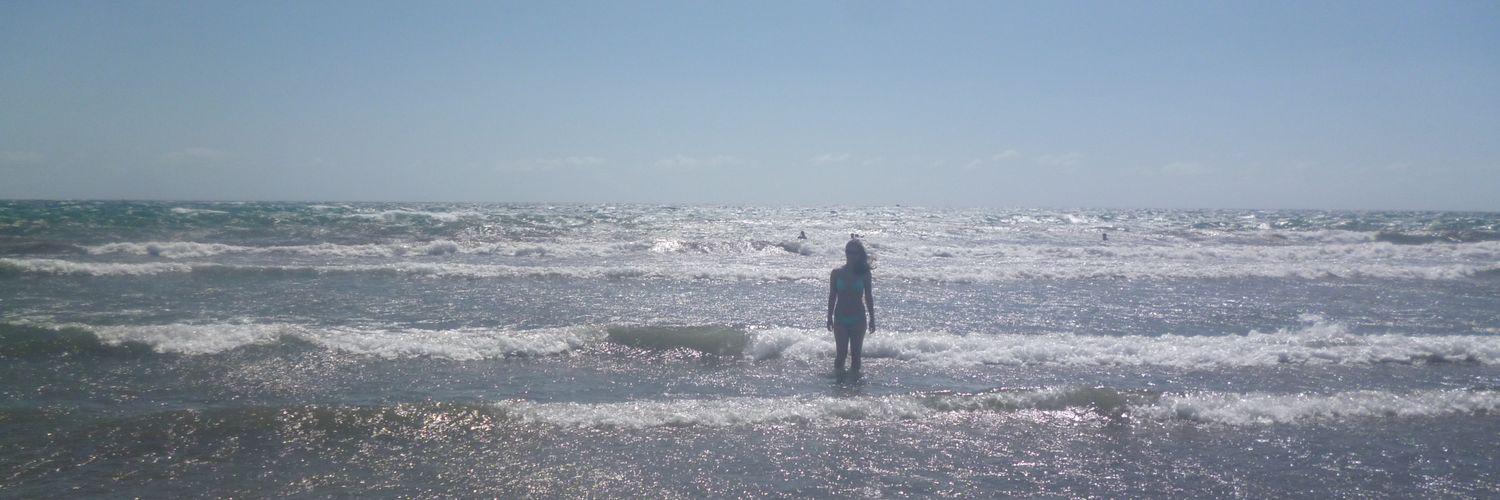 lizztemperley's profile banner image
