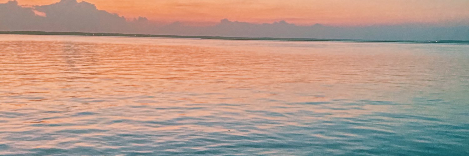 edennelson99's profile banner image