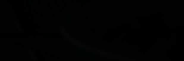金獨子 banner