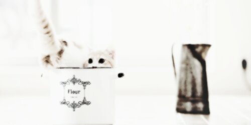 kurtaagdr's profile banner image