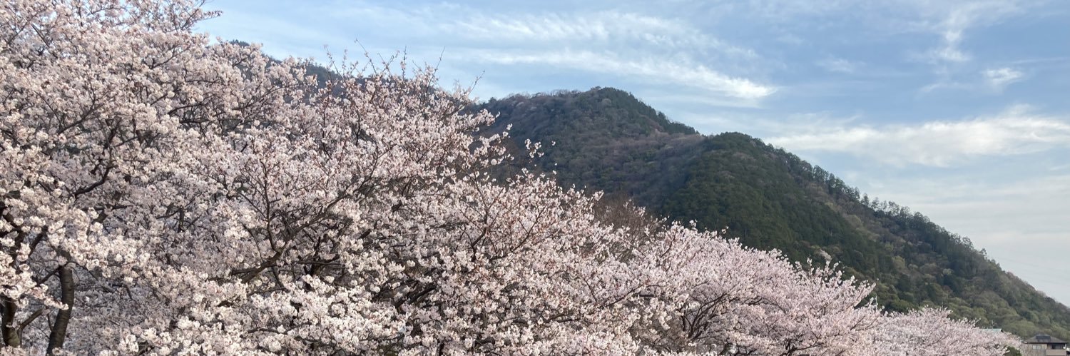 てりー🌸 banner