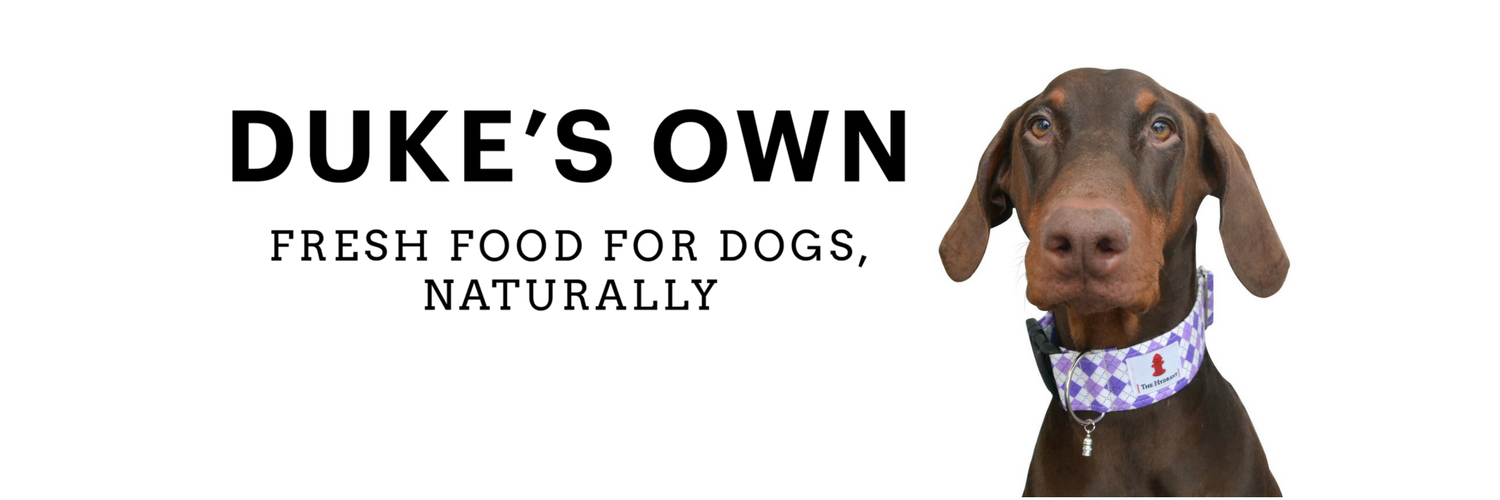 Lindsay S banner