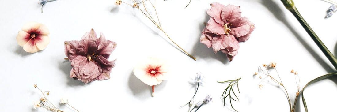 1663goods's profile banner image
