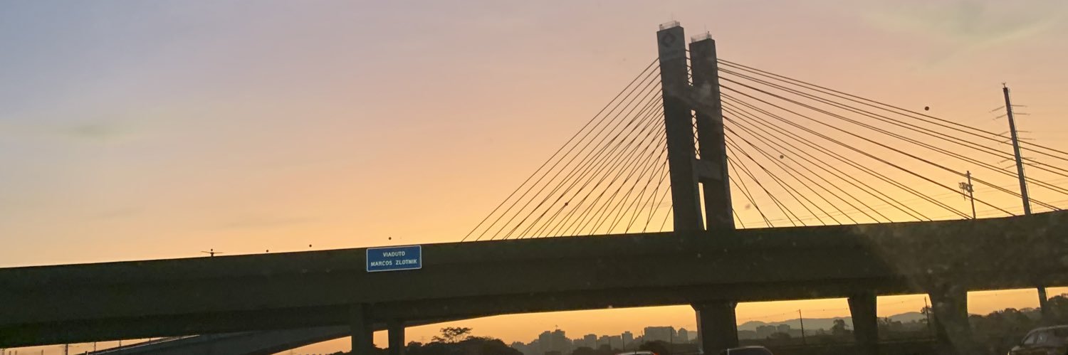 lenachavs's profile banner image