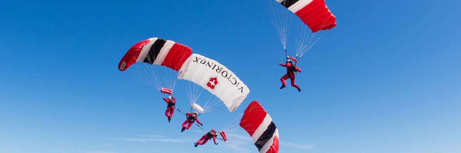The Red Devils Army Parachute Display Team Profile Banner