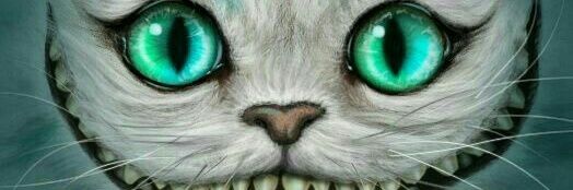 Noee_R's profile banner image
