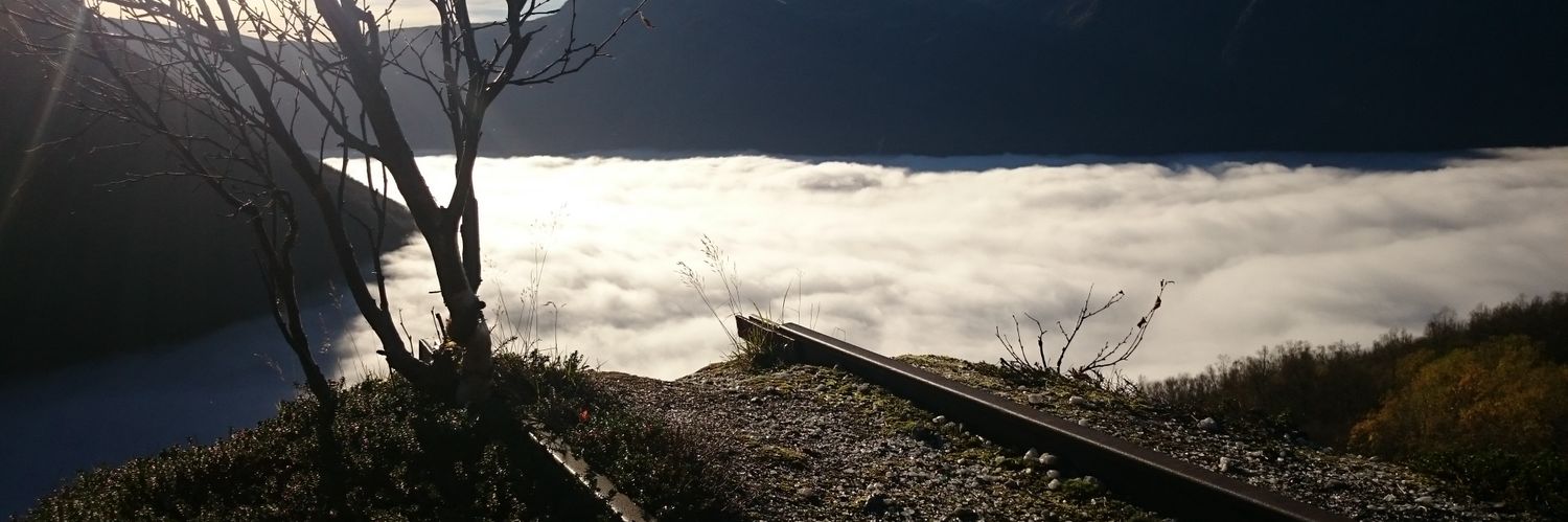 lillefloth's profile banner image
