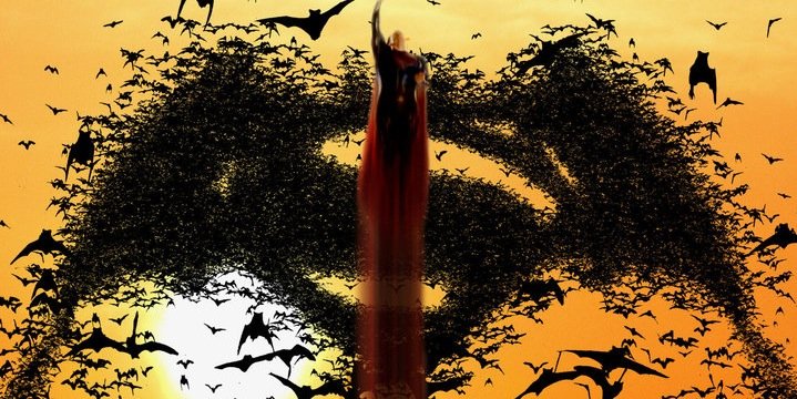 315Todd's profile banner image