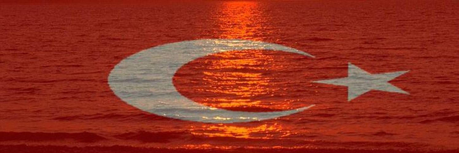 1971Tasc's profile banner image