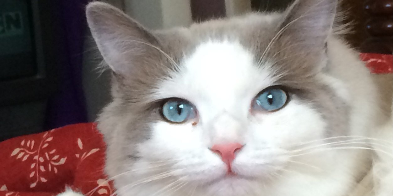 melanijle's profile banner image