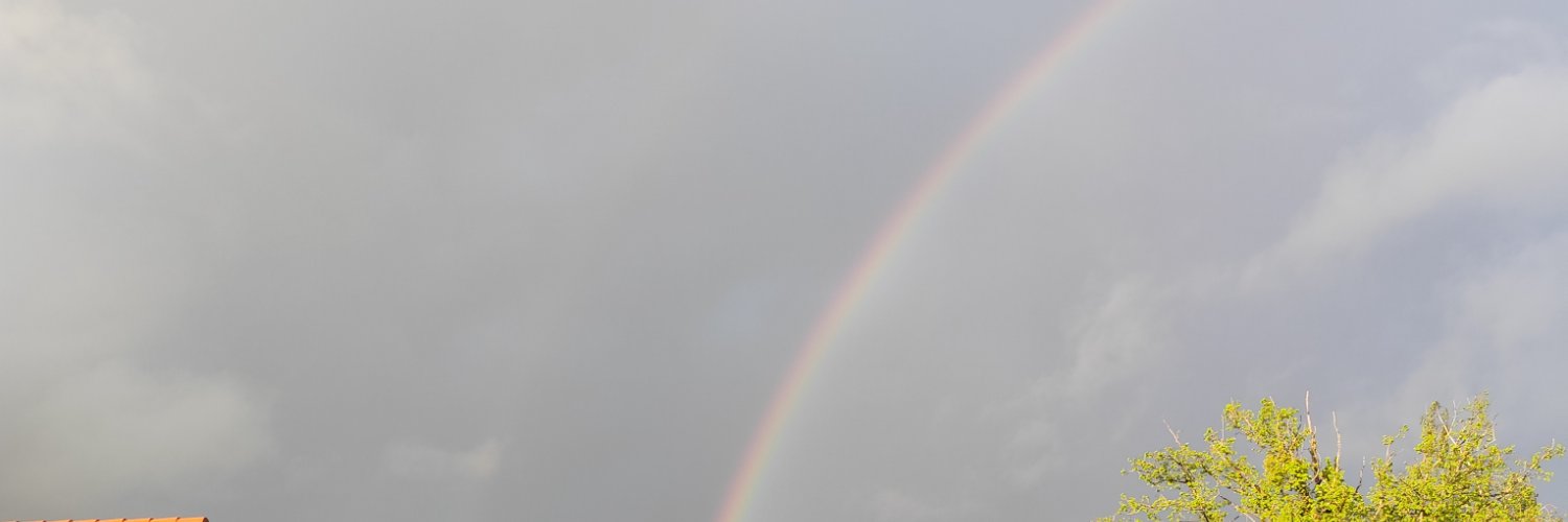 Blitzouu's profile banner image