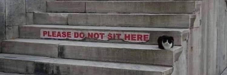 weka 🐬 ✊🐬 banner