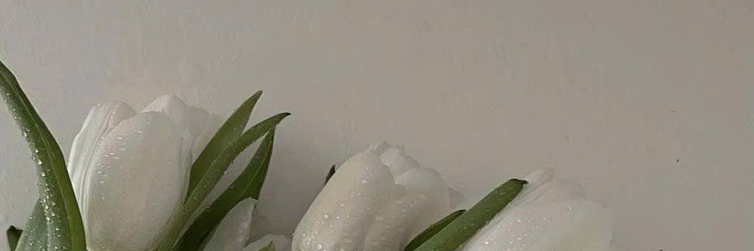 fefer125's profile banner image