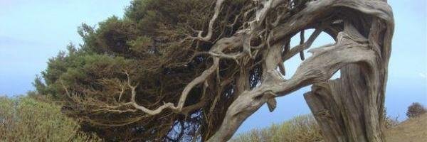 farketteyyo's profile banner image