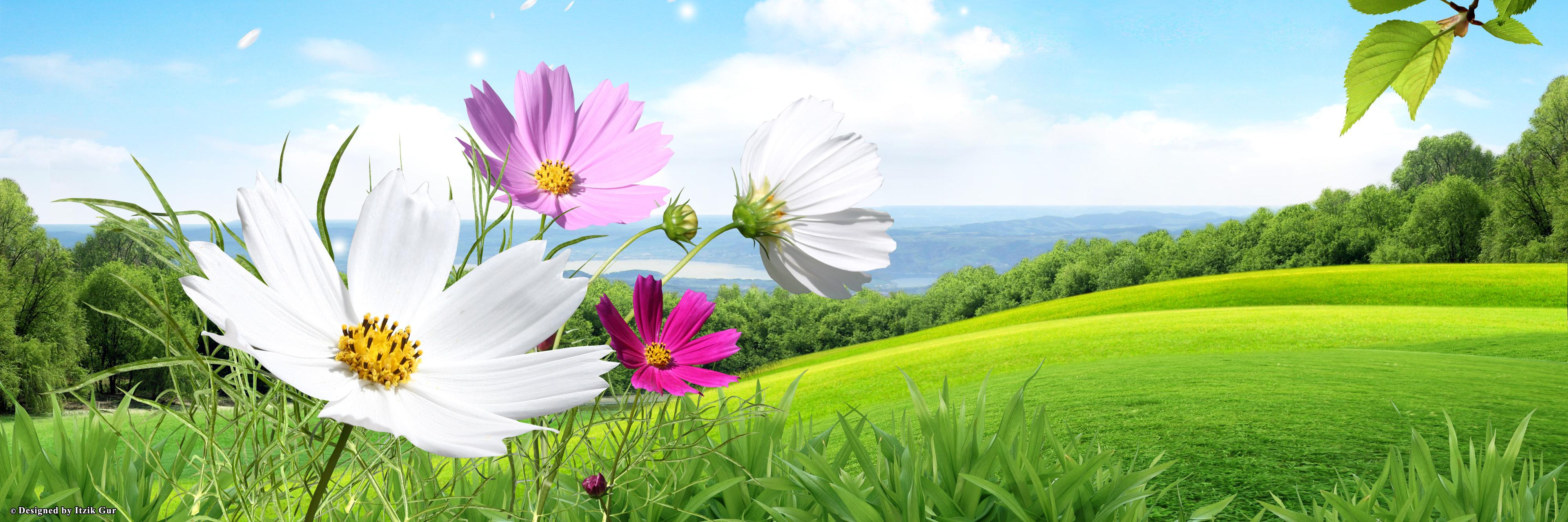 shanthi's profile banner image