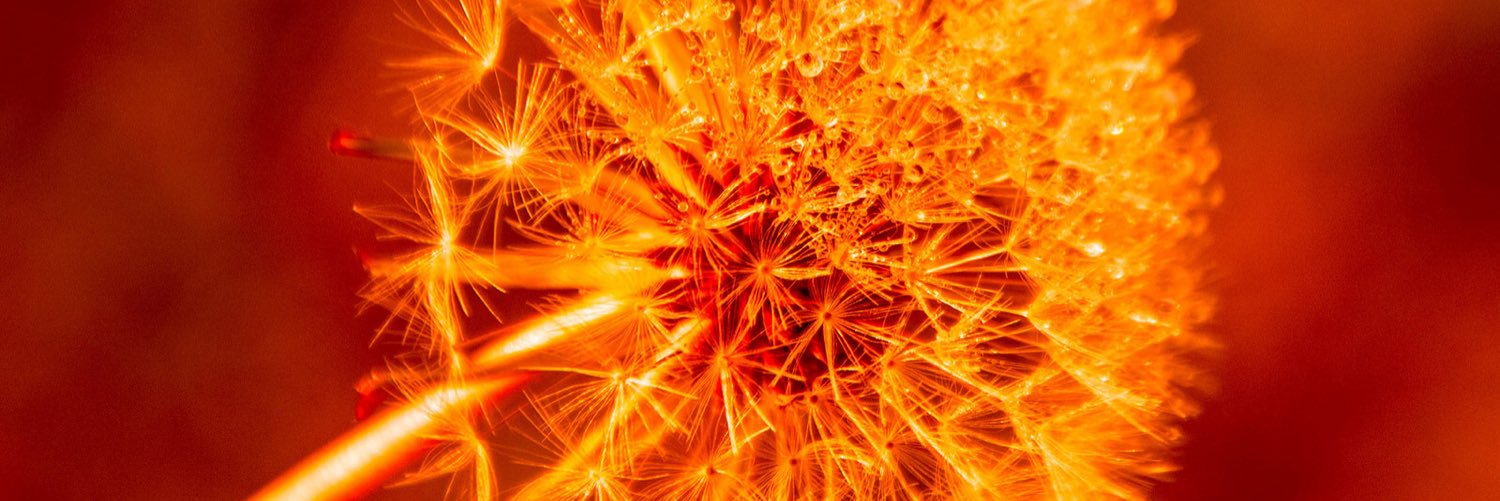 Computer Vision News banner