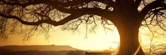 munych's profile banner image