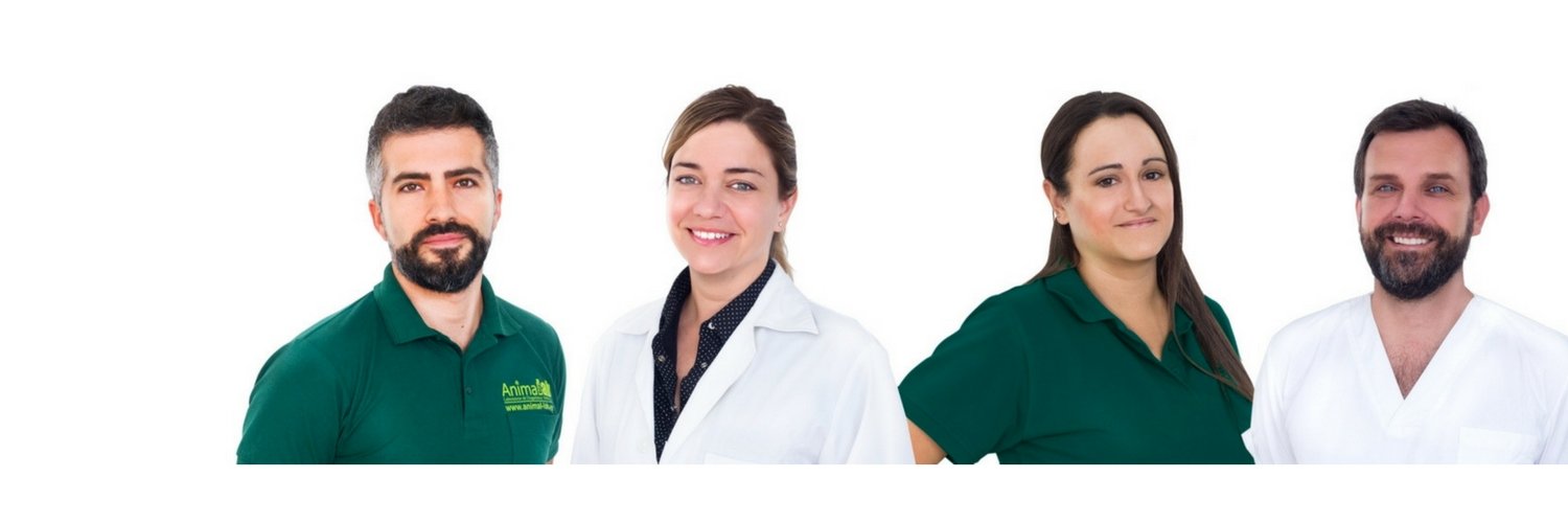 AnimalLab1's profile banner image