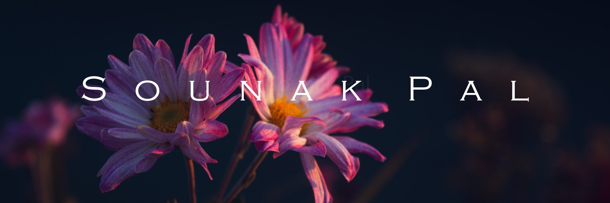 sounaksp's profile banner image