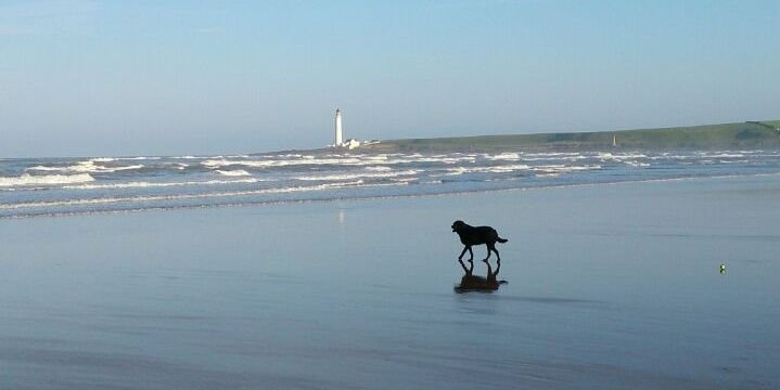 kettsGED's profile banner image